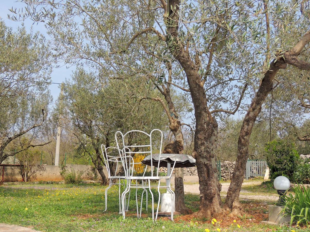 Apartments Zarko Brzac Екстериор снимка